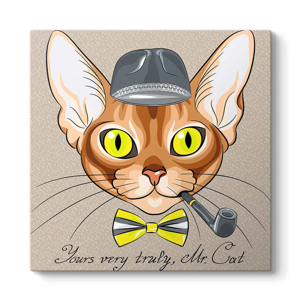 Mr. Cat Tablosu - Model 3